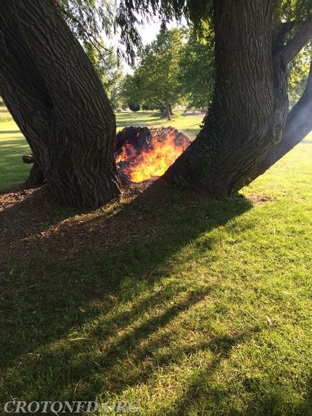 Croton Point Stump Fires 6/1/14