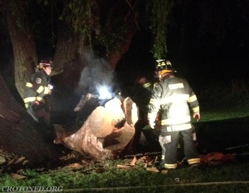 Croton Point Stump Fires 6/1/14