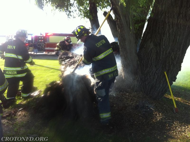 Croton Point Stump Fires 6/1/14