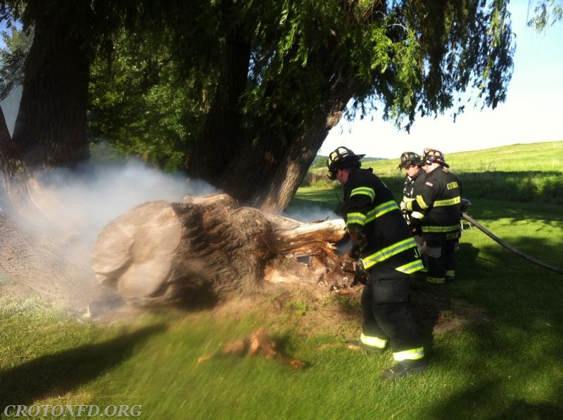 Croton Point Stump Fires 6/1/14